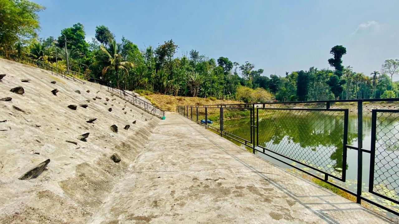 Willostays Villa Tranquil De Susanj Sakleshpur Dış mekan fotoğraf