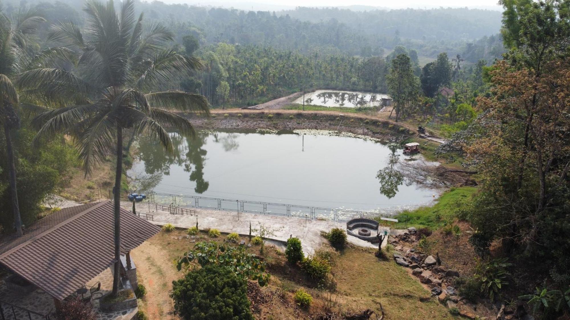 Willostays Villa Tranquil De Susanj Sakleshpur Dış mekan fotoğraf